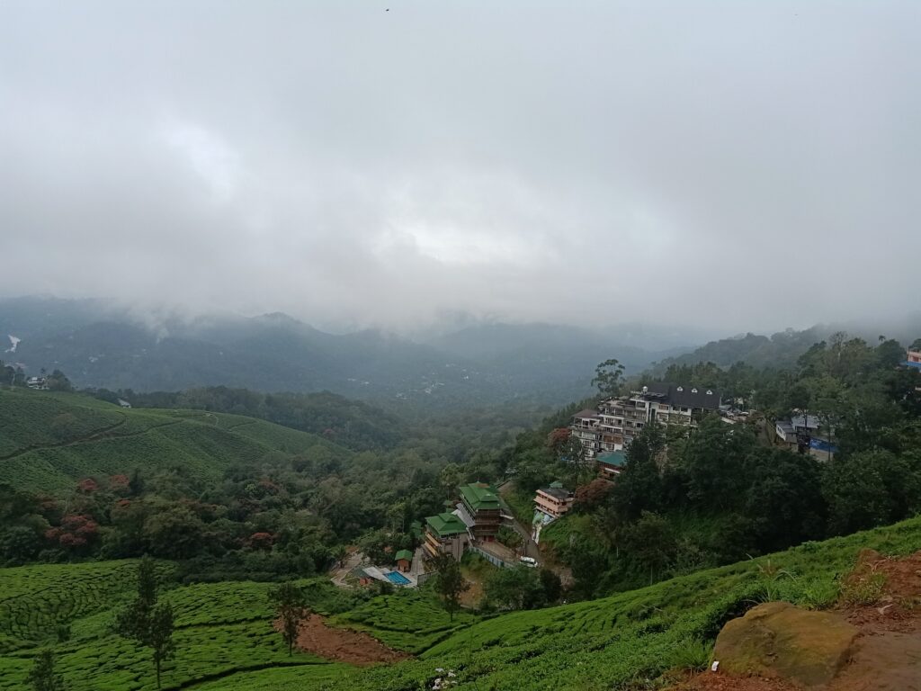 Munnar Tea Garden