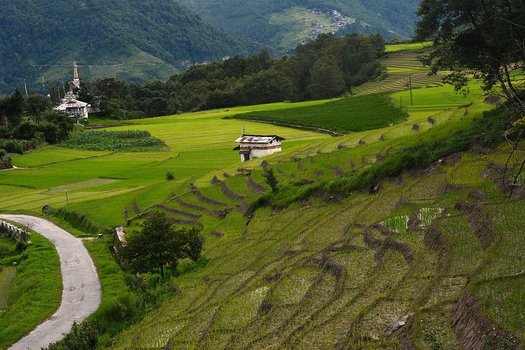 ziro valley